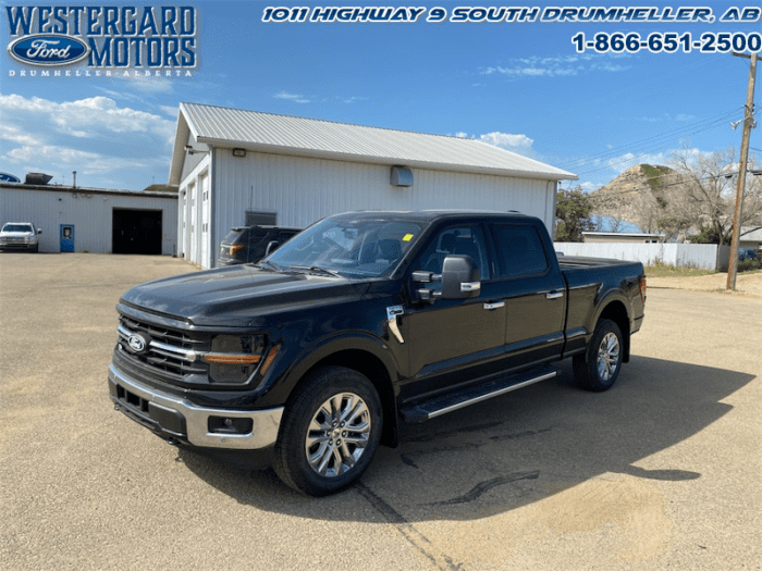 Used Crew Cab 2024 Ford F-150 W3L Agate Black Metallic