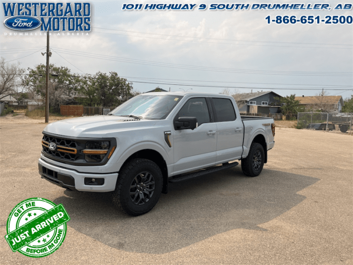 Used Crew Cab 2024 Ford F-150 W4L Avalanche