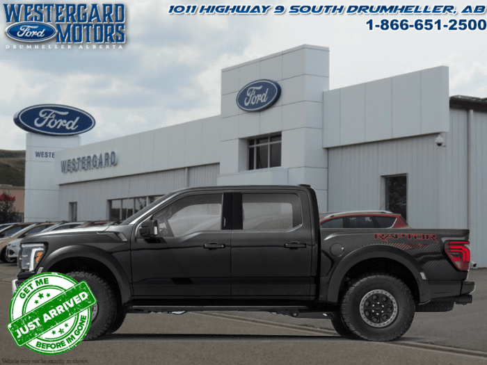 Used Crew Cab 2024 Ford F-150 W1R Agate Black Metallic