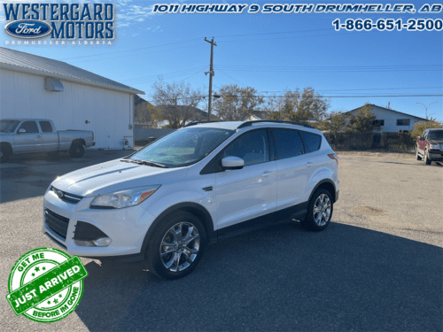 Used SUV 2014 Ford Escape U9G White