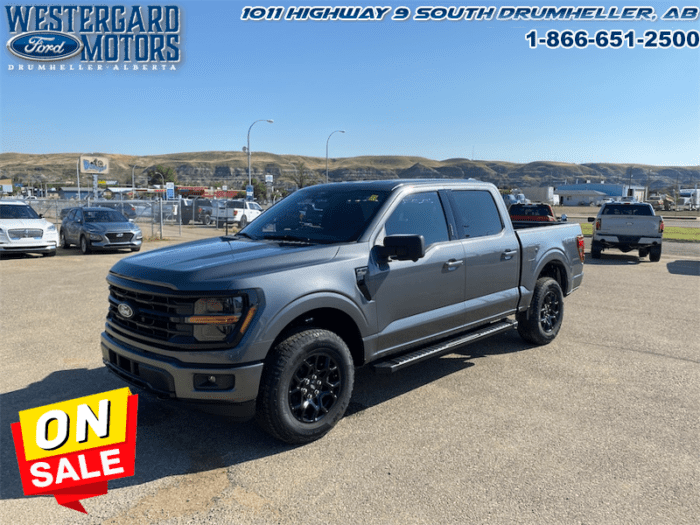 Used Crew Cab 2024 Ford F-150 W3L Carbonized Grey Metallic