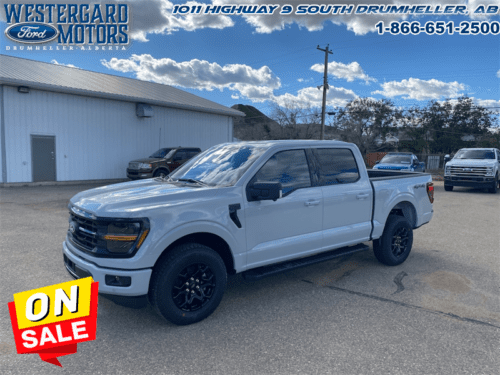 Used Crew Cab 2024 Ford F-150 W3L Avalanche