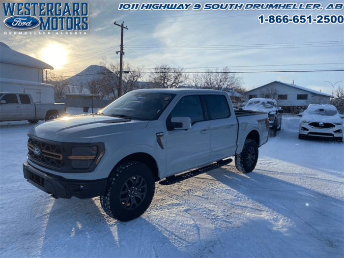 Used Crew Cab 2024 Ford F-150 W4L Avalanche