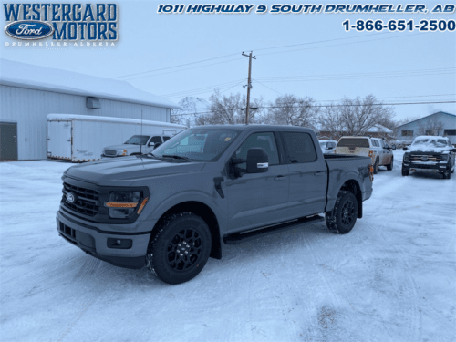 Used Crew Cab 2024 Ford F-150 W3L Carbonized Grey Metallic