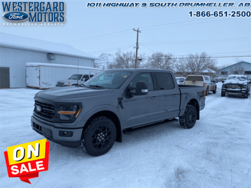 Used Crew Cab 2024 Ford F-150 W3L Carbonized Grey Metallic