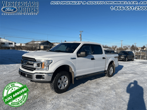 Used Crew Cab 2019 Ford F-150 XLT White