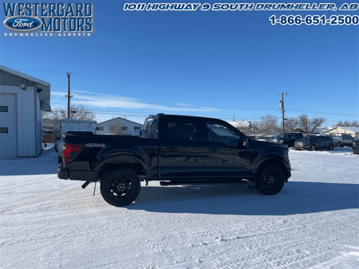 2025 Ford F-150 XLT  - 18" Wheels - Image 21