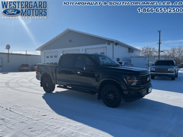 2025 Ford F-150 XLT  - 18" Wheels - Image 28