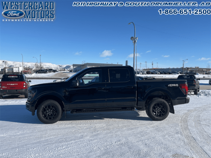 2025 Ford F-150 XLT  - 18" Wheels - Image 5