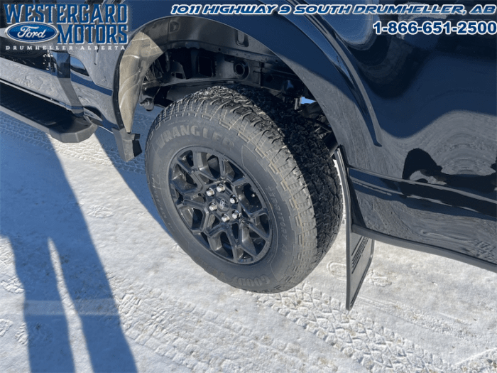 2025 Ford F-150 XLT  - 18" Wheels - Image 6