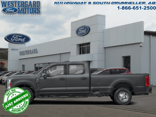 Used Crew Cab 2025 Ford F-250 Super Duty W2B Carbonized Grey Metallic